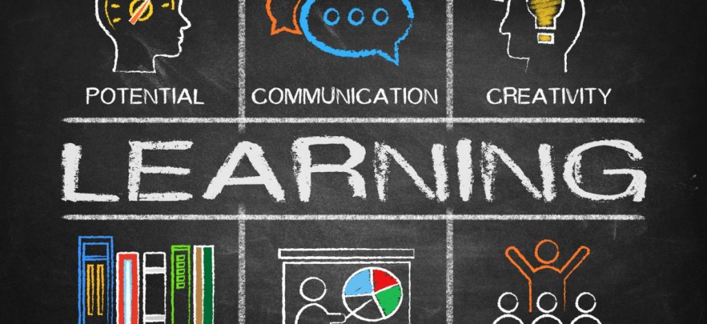 building a learning organization