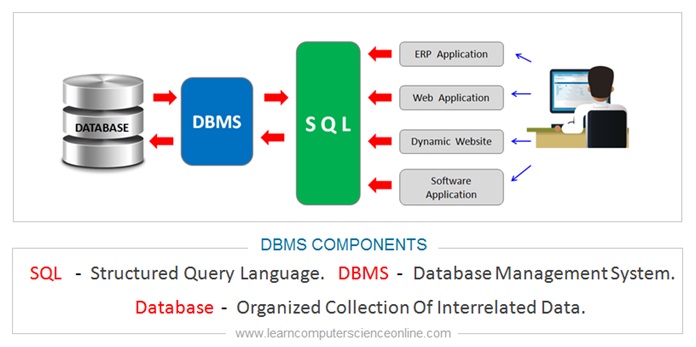 Database Software and Applications